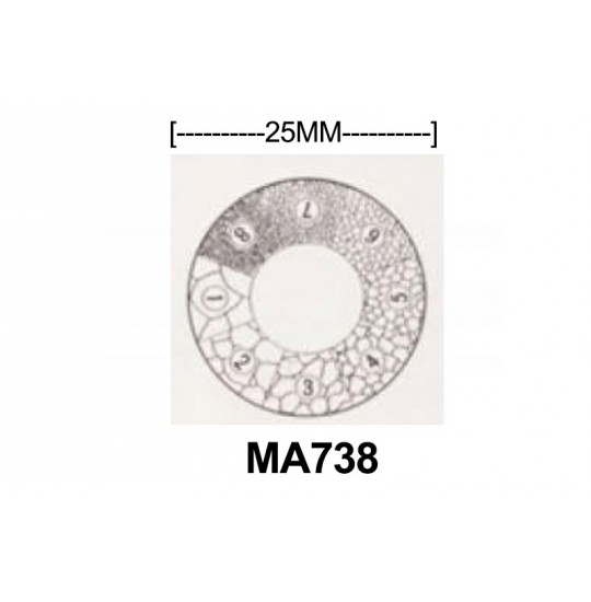 MA738