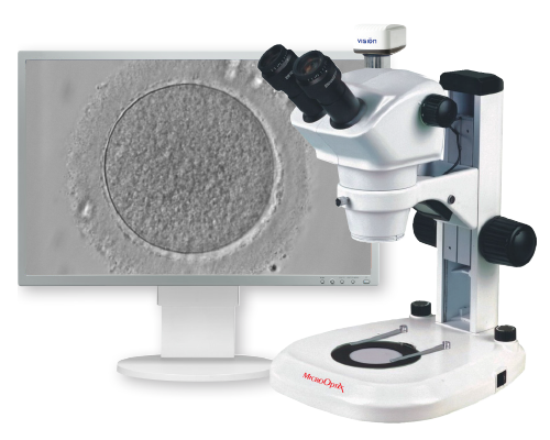 MX 1150 (T) Stereomicroscope for IVF