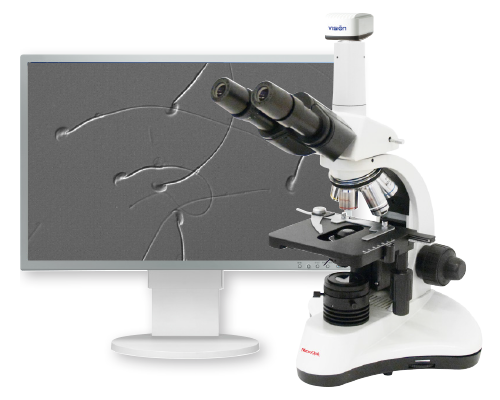 Фазово-контрастный микроскоп для выделения сперматозоидов MX 300 (T)
