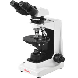 MX 400 (T)