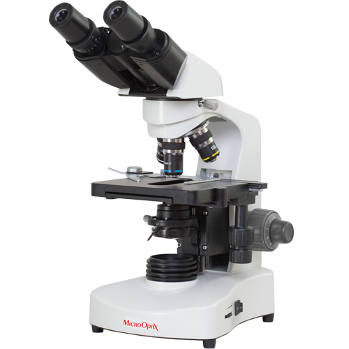 MX 20 Binocular microscope