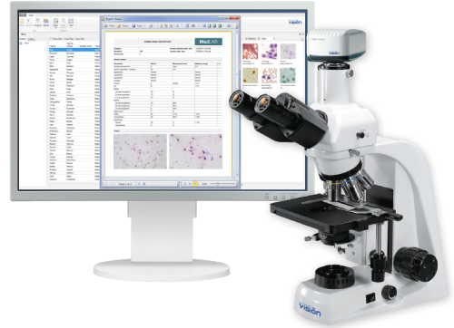 Vision Report  Digital solution for report generation and management of digital albums in microscopy 