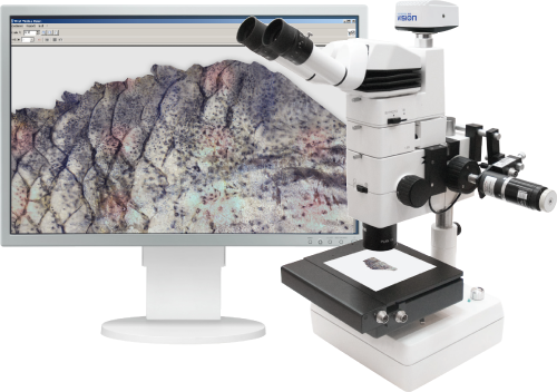 Vision Stereo Digital solution for virtual sample preparation in stereo microscopy