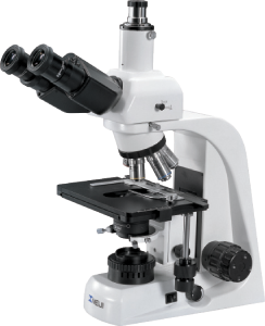 MT5300 Biological microscope