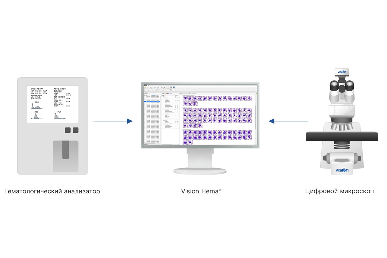 Vision Hema Integro — работа с гематологическим анализатором