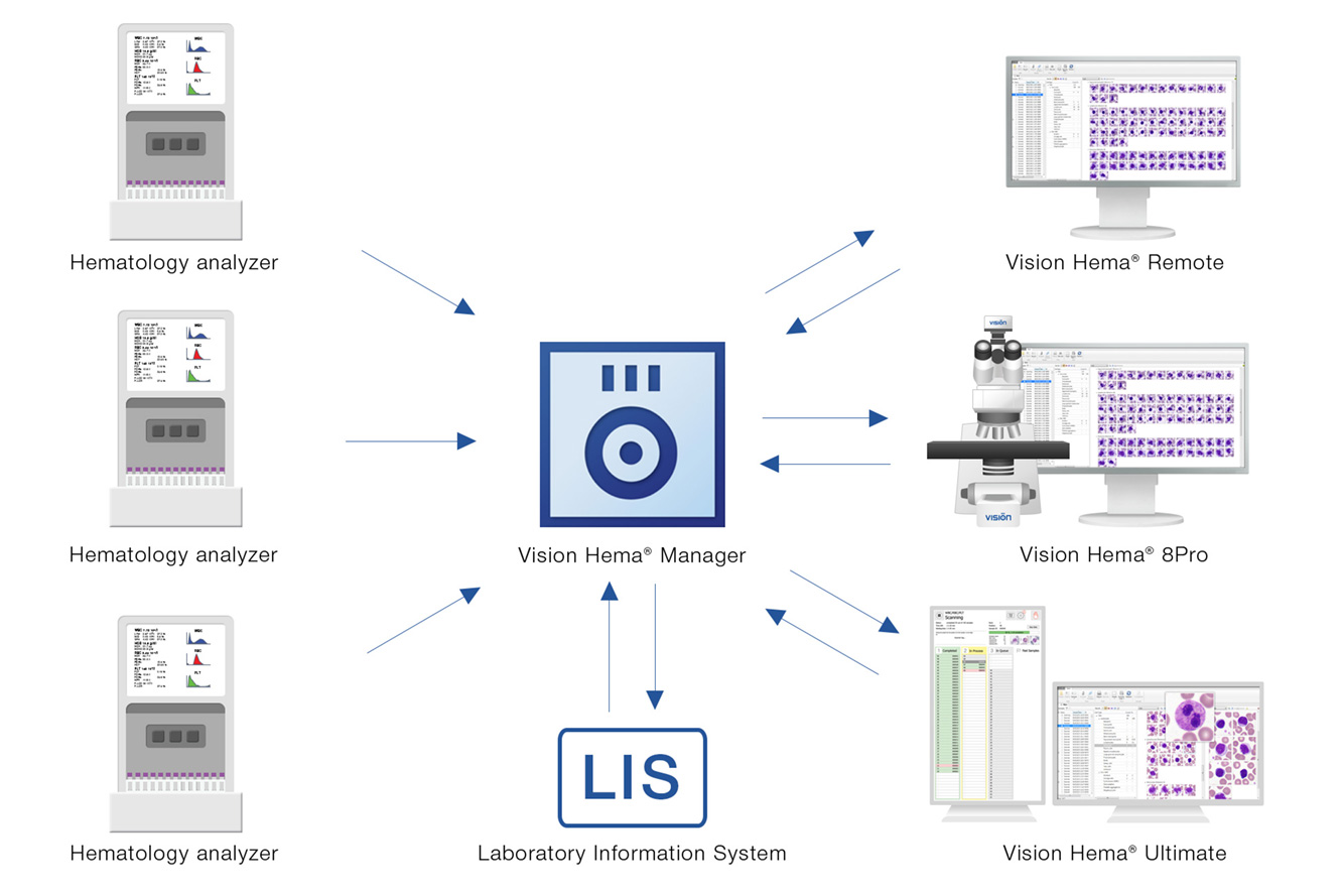 Vision Hema Manager — Standardization of blood smear analysis procedure