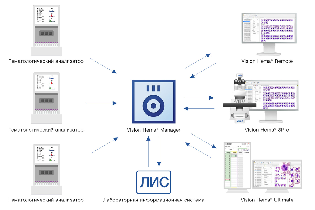Vision Hema Manager — стандартизация процедуры выполнения анализа мазка крови