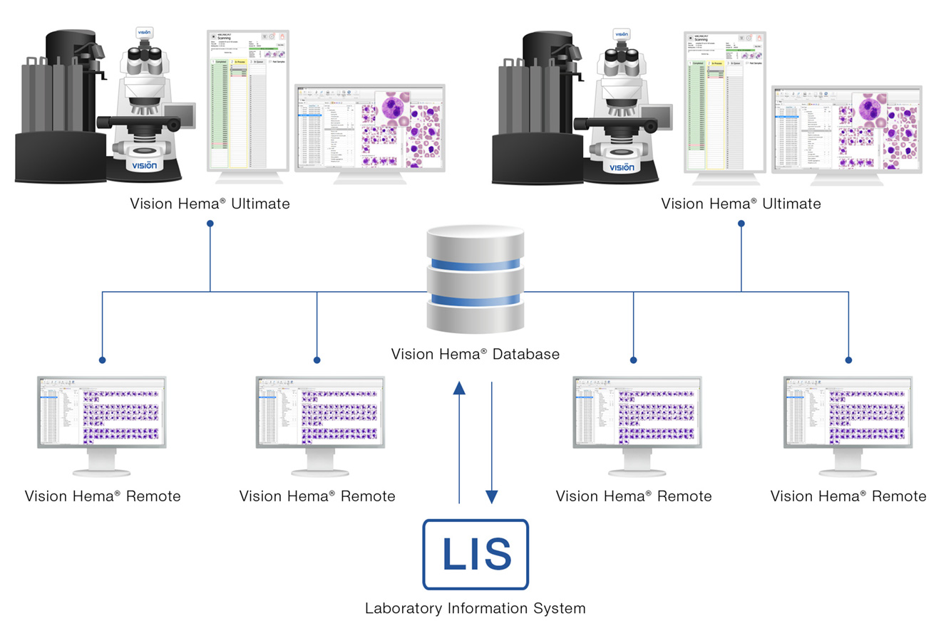 Vision Hema Network — A single information environment