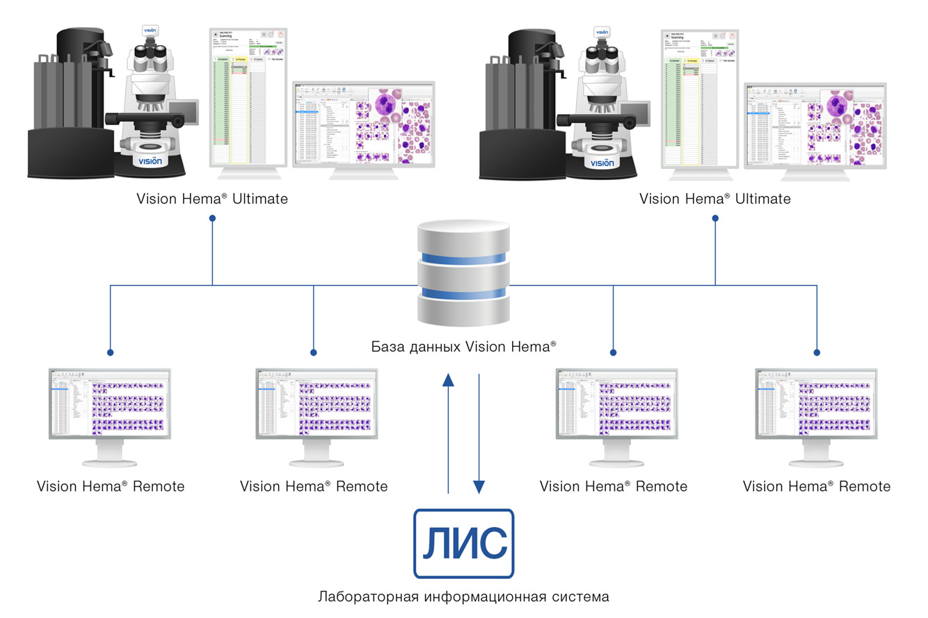 Vision Hema Network — двунаправленное подключение к ЛИС